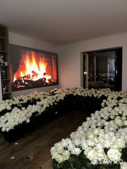 Фото с цветами 500