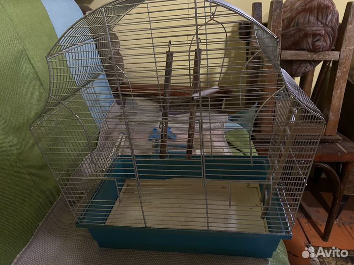 Клетка для волнистого попугая большая