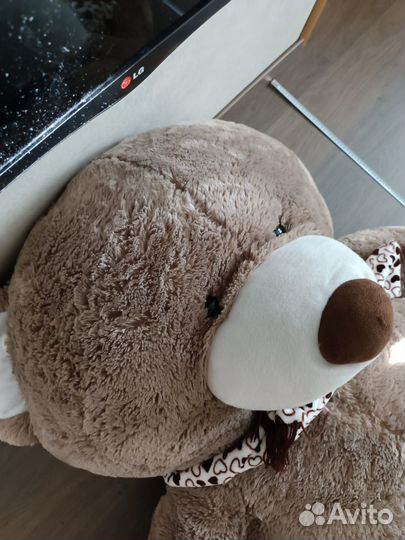 Плюшевый медведь