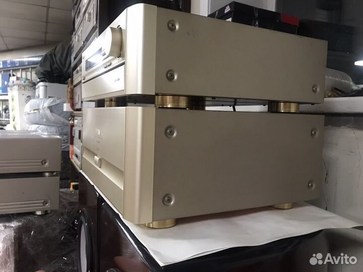Denon POA/AVP 5000