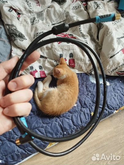 Провод антенный Vention