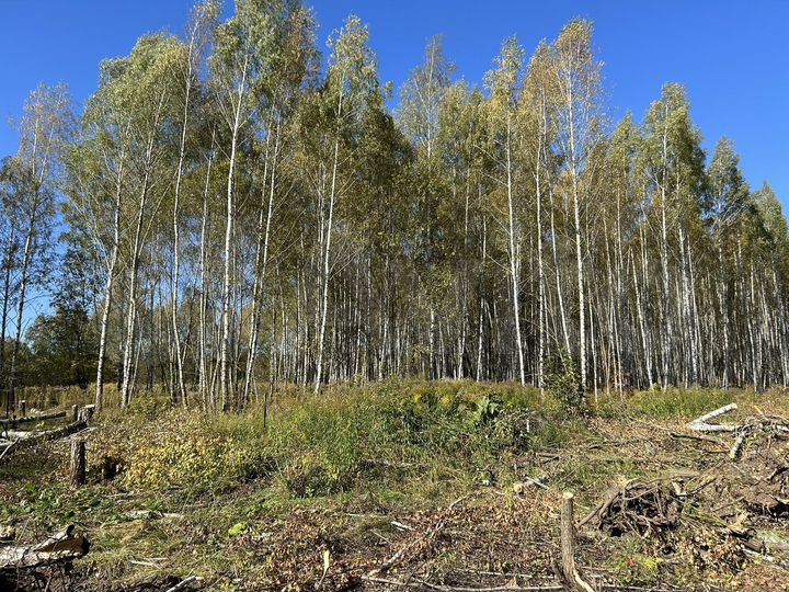 Участок 10 сот. (ИЖС)