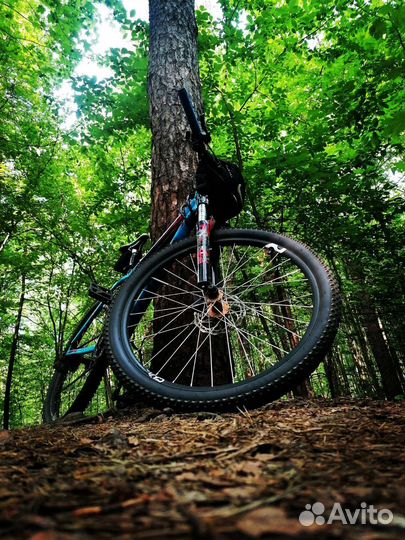 Specialized p.street 2