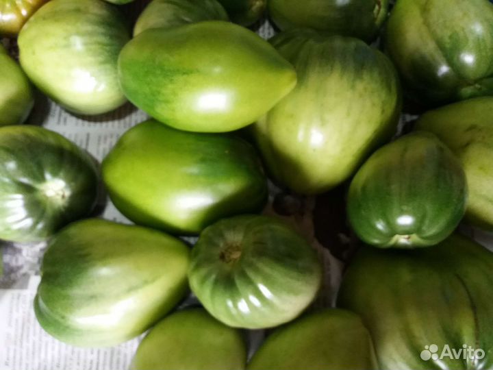 Кабачки Сегодня Помидоры