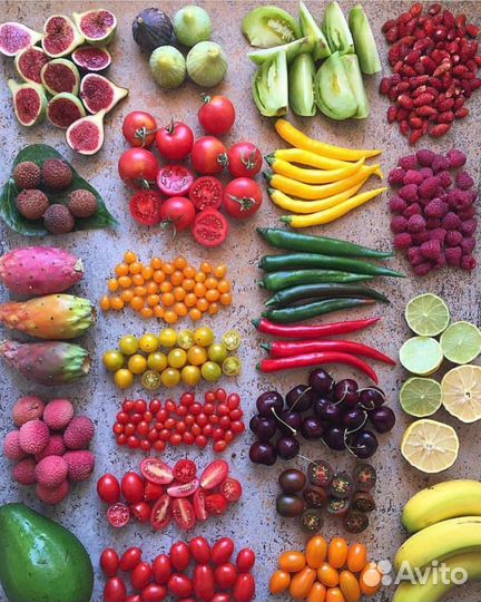 Продавец кассир