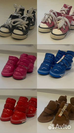 Одежда для собак