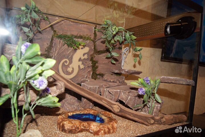 Террариум для эублефара