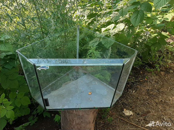 Аквариумы с пидсветкой и без и др