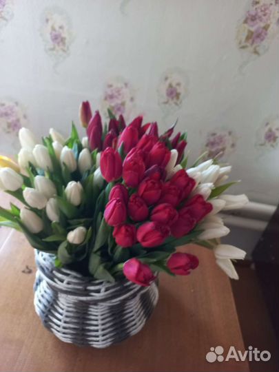 Цветы тюльпаны букеты