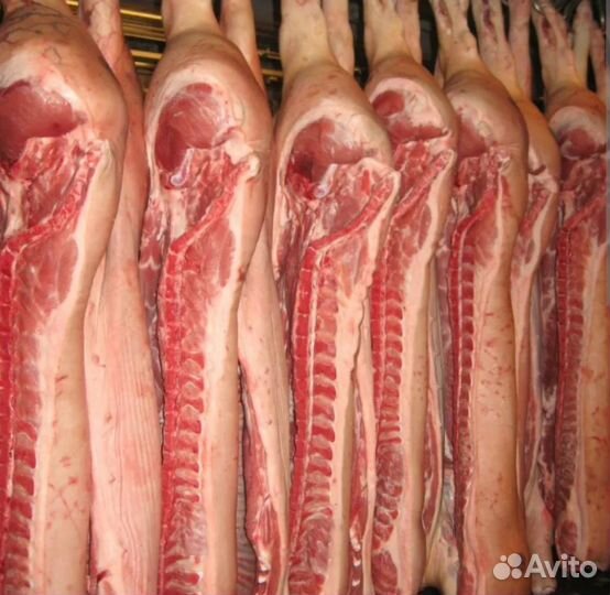 Мясо свинина