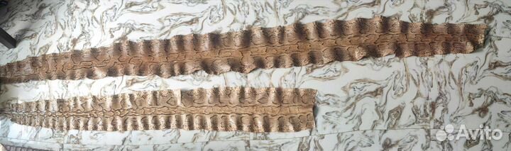 Шкура питона