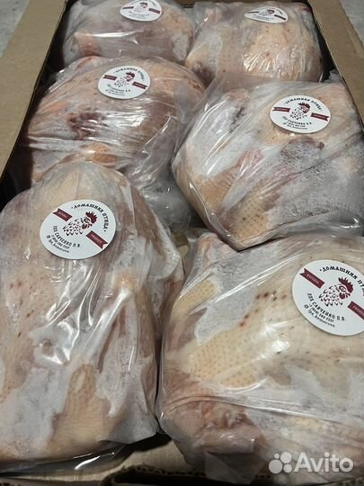 Мясо домашнего бройлера (молодняк )