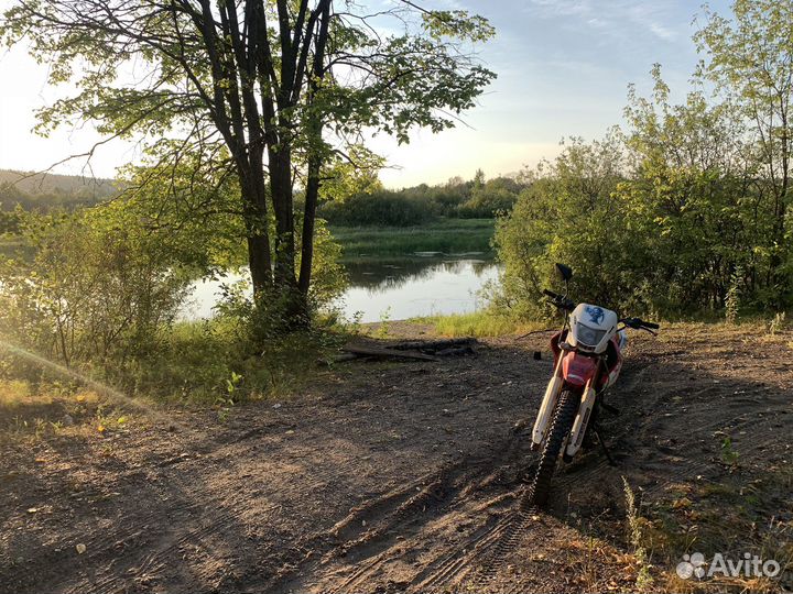 Ирбис TTR 250