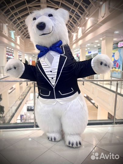 Большой белый мишка бурый мишка и панда