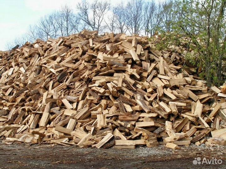 Дрова Дубовые в мешках и сетках uy165