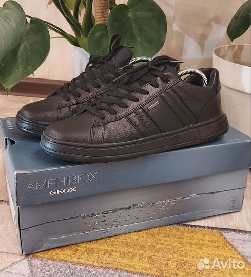 Кеды мужские geox