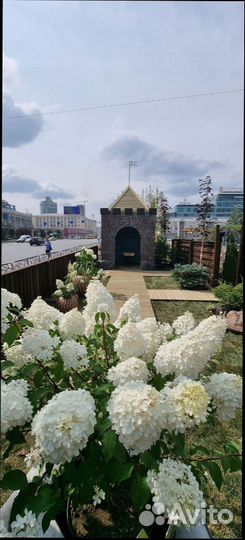 Доска для забора от производиеля