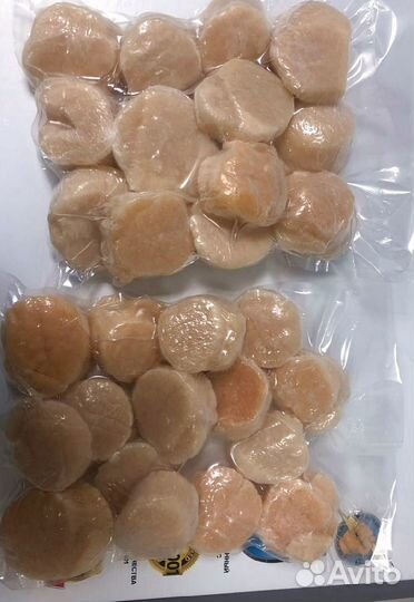 Гребешок Сахалин