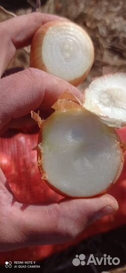 Лук на перо