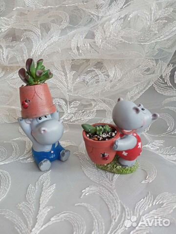 Горшочки с суккулентами