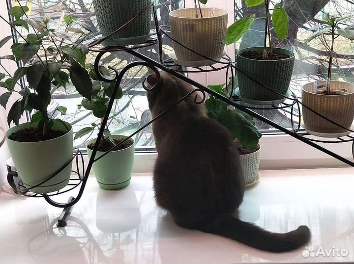 Подставка для цветов на подоконник