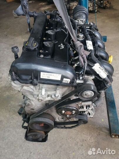 Двигатель Форд Фокус 2 qqdb qqda 1,8 бензин