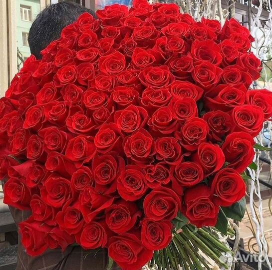 Розы Букеты Цветы Розы 31 101 151 201 Доставка