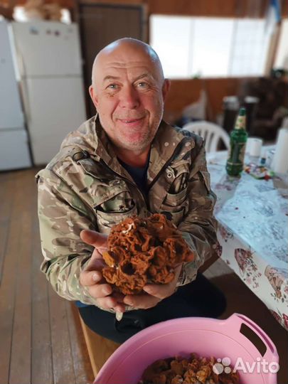 Рыбалка и отдых на Вазузе