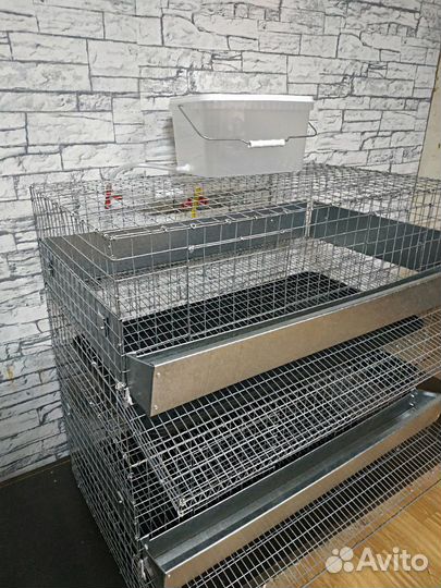 Клетки для перепелов