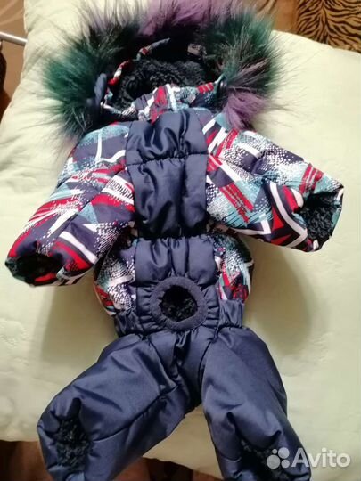 Комбинезон для той-терьера