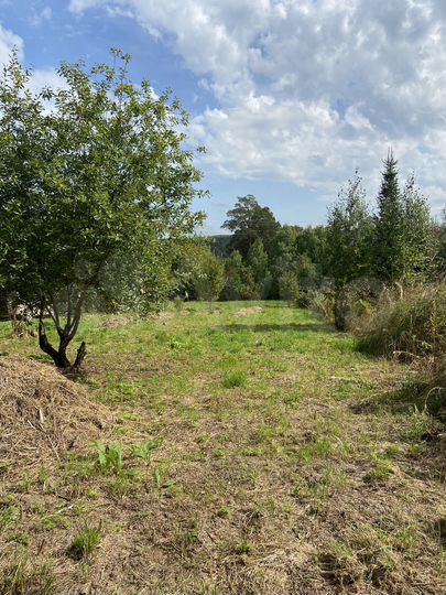 Участок 10 сот. (СНТ, ДНП)