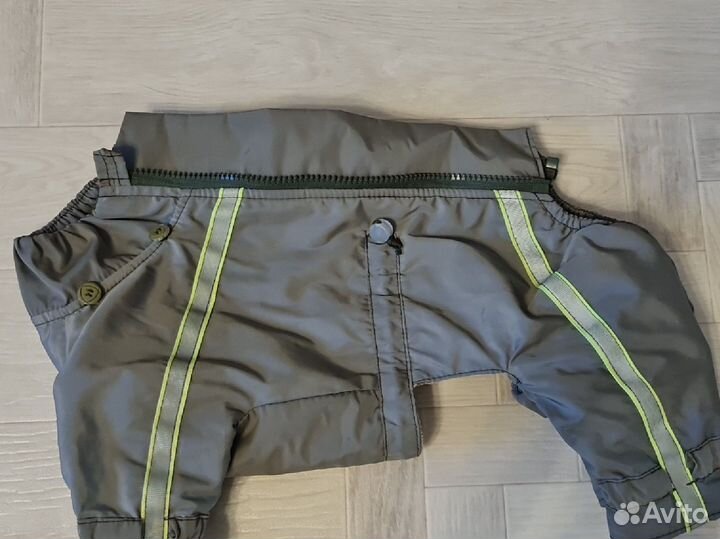 Одежда для маленьких собак