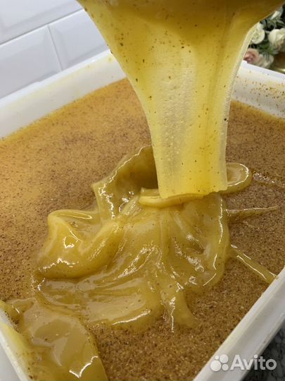 Алтайский мед 3л баллон 23 года сбор