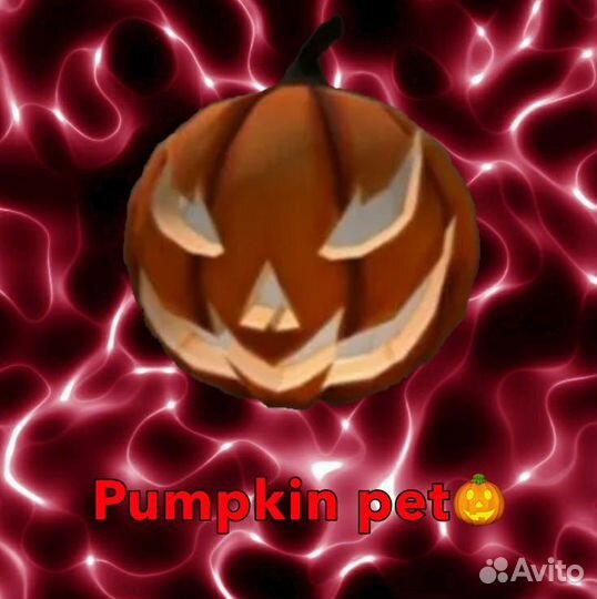 Pumpkin pet