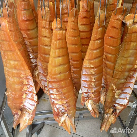 Копченый угорь Калининград, Балтийская рыба