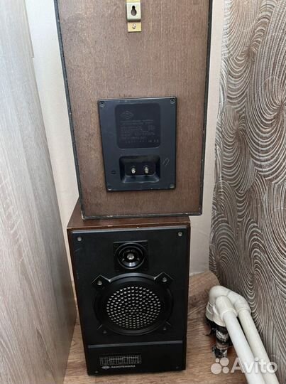 Электрофон Радиотехника Проигрыватель и Колонки