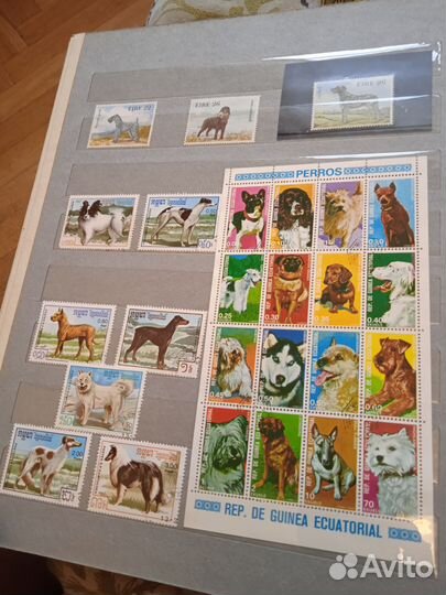 Альбом с марками. Собаки и Кошки