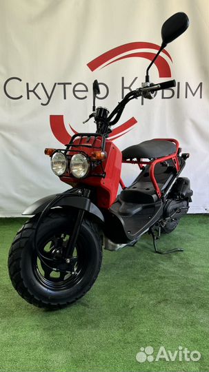 Honda Zoomer (Только с Японии)