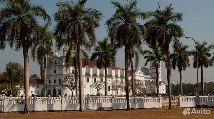 Тур гоа от 1-го чел