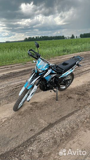 Racer 300