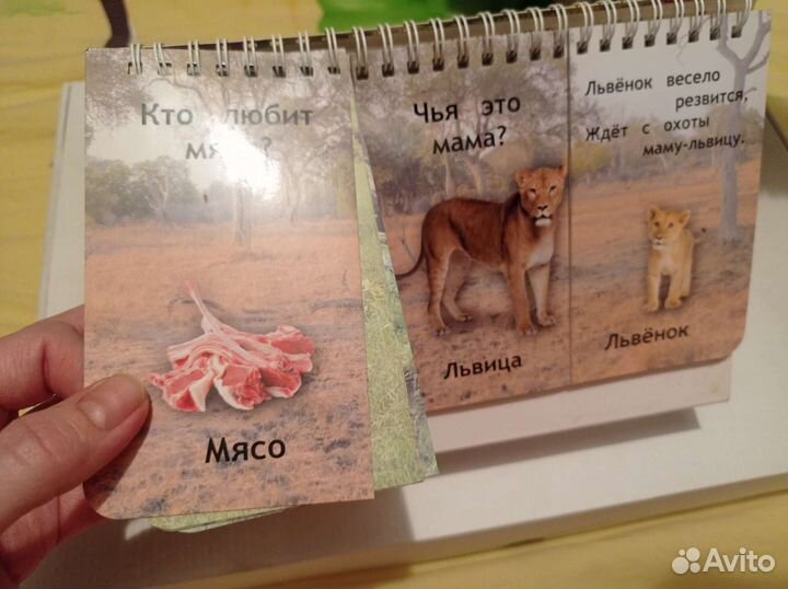 Книжка игрушка