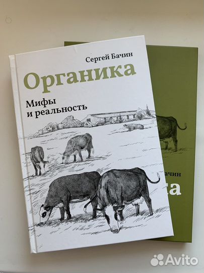 Книга новая 