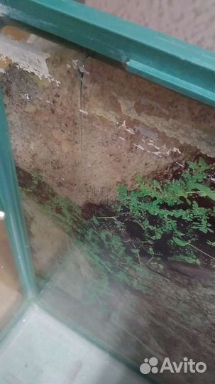 Аквариум jebo R338