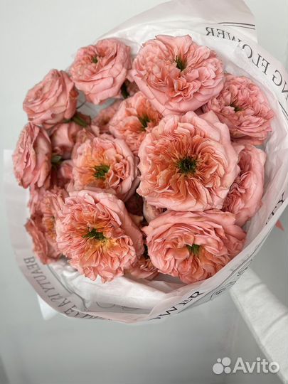 Букет пионовидных роз