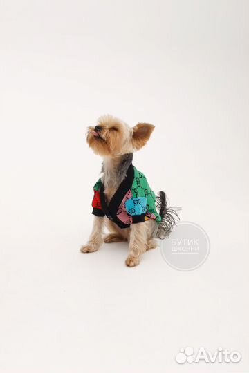 Кофта для собак Gucci