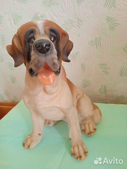 Собака ростовая, сенбернар