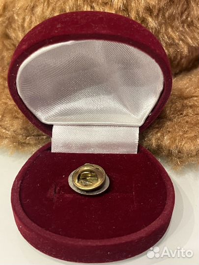 Значок Идущие вместе