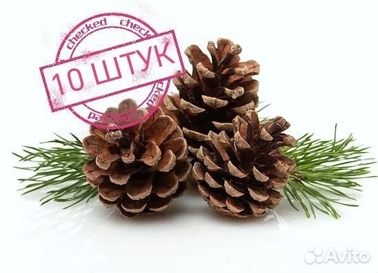 Шишки для декора и поделок