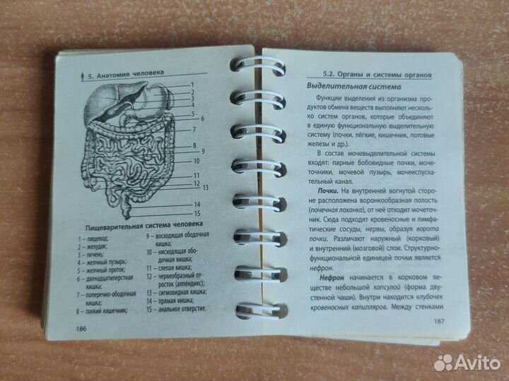 Биология карманный справочник