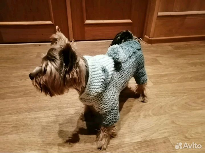 Вязаная одежда для собак на заказ